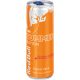 Red Bull Kayısı 250ml 